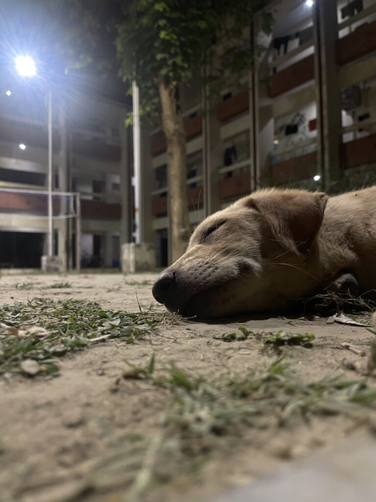 WhatsApp Image 2025-06-22 at 18.17.10_422d6d7e