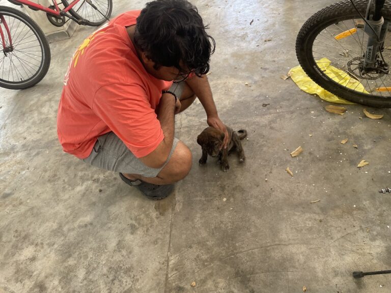 WhatsApp Image 2025-06-22 at 18.17.11_6065264b