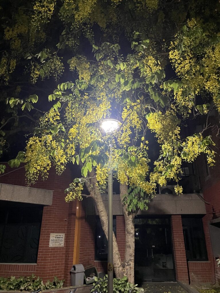 WhatsApp Image 2025-06-22 at 18.17.24_18f72a68