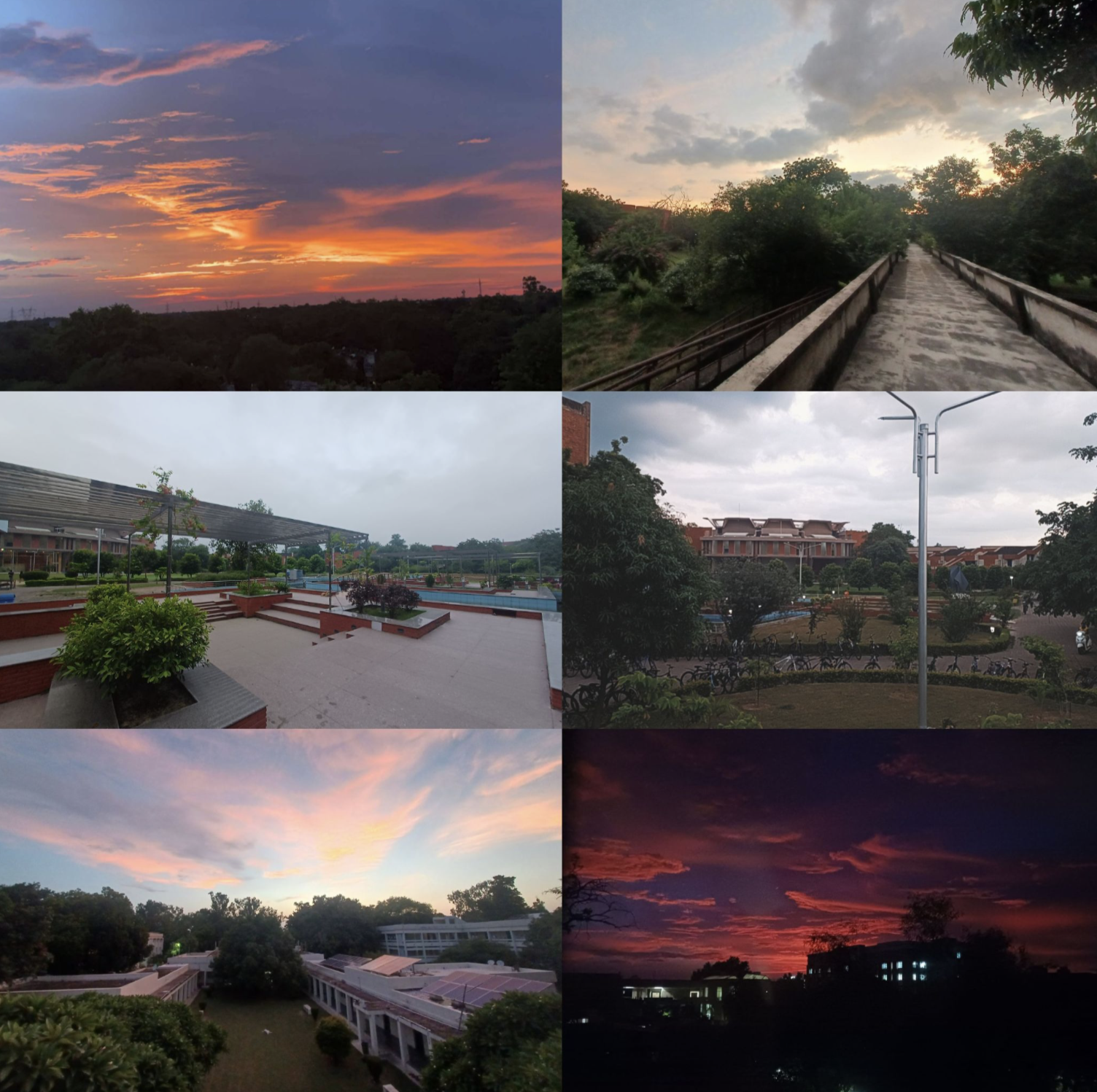 Some of my clicks while appreciating campus’ beauty in 3rd sem