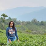 AWL #40: Everything Everywhere All At Once