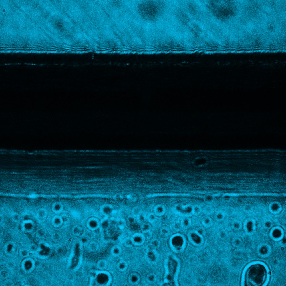 ImageJ=1.53c
images=4
slices=4
unit=inch
loop=false