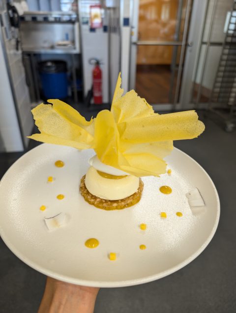 PXL_20240717_111046696.RAW-01.COVER